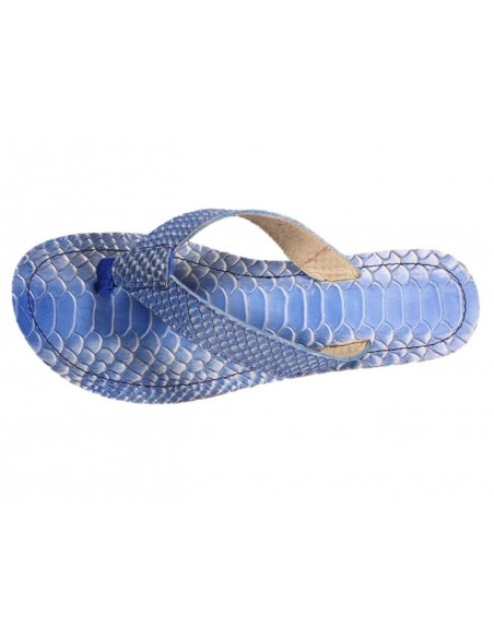 CACTUS BLEU